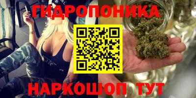 эйфоретик Северобайкальск